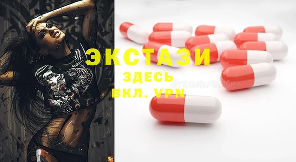 хмурый Алексин