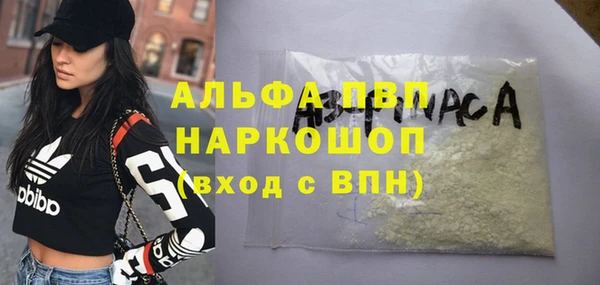 хмурый Алексин