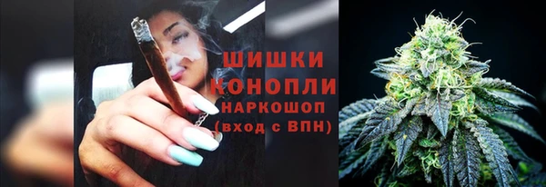 бошки Алзамай