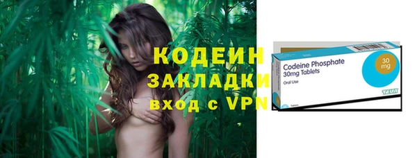 сатива Няндома