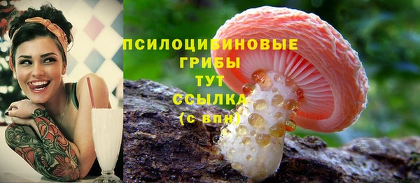 бошки Алзамай