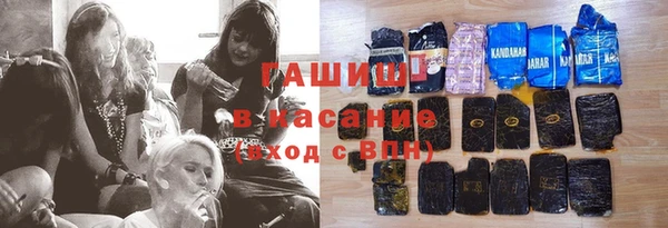 хмурый Алексин