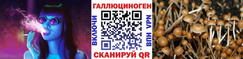 Галлюциногенные грибы мухоморы Моздок